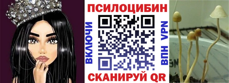 Галлюциногенные грибы Psilocybe  Юрьевец 